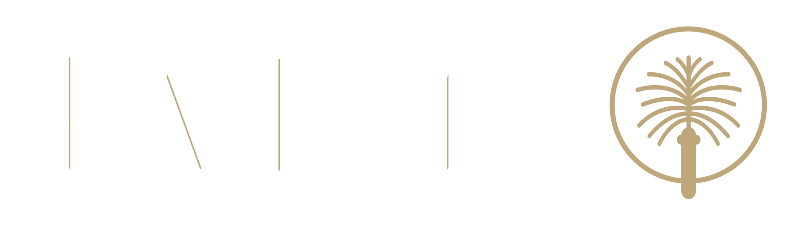 Palms Magazine
